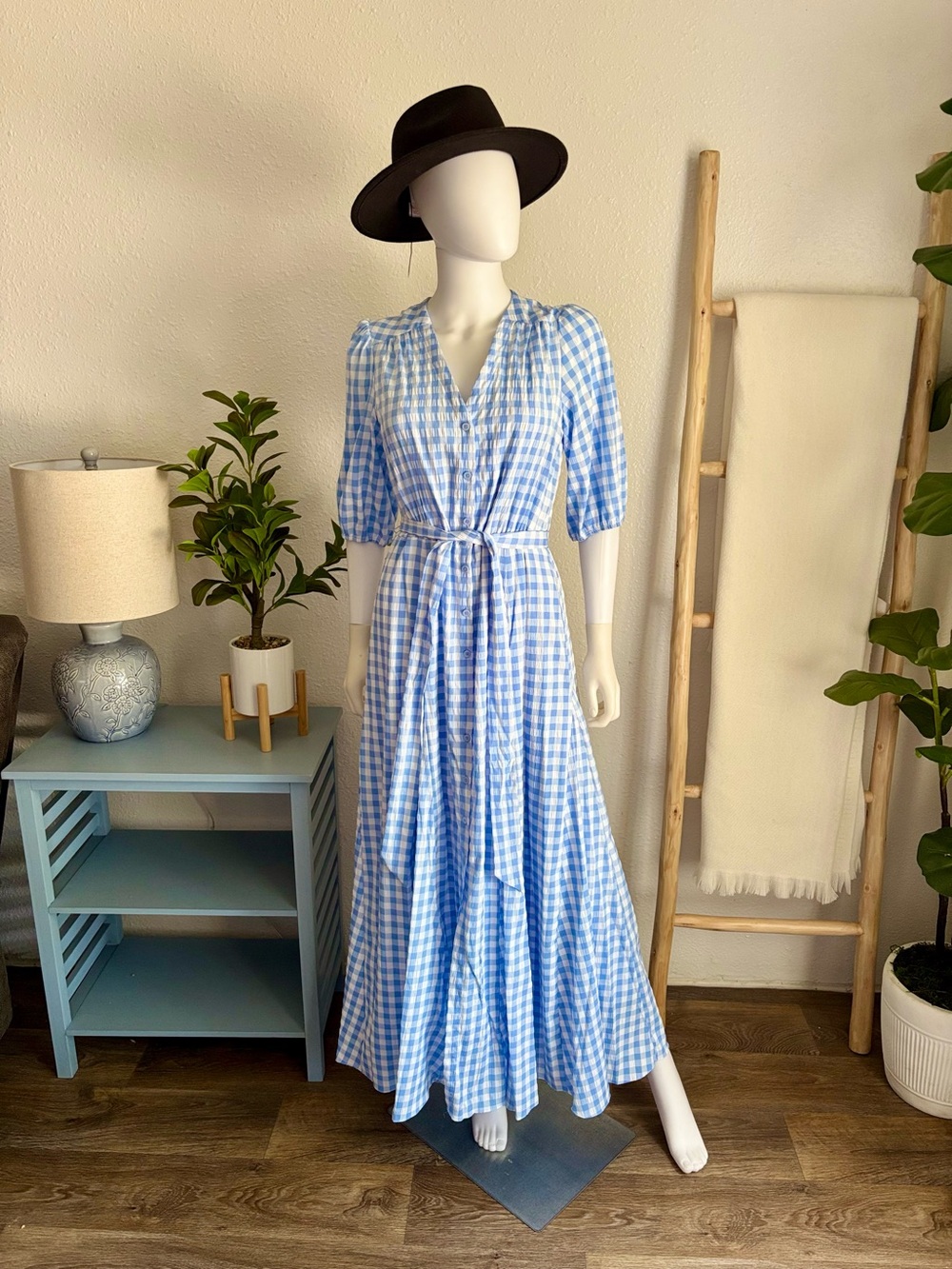 Taylor Blue and White Gingham Button-Front Maxi Dress